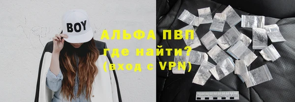 индика Михайловка