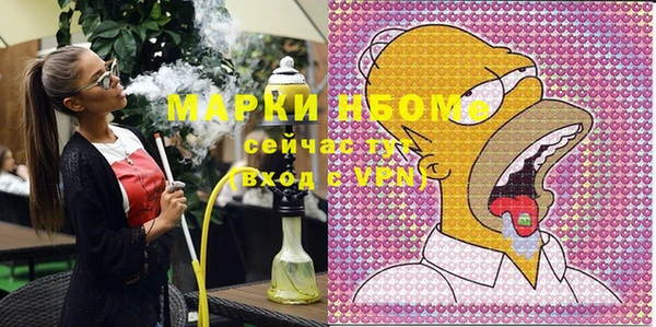 гашик Верея