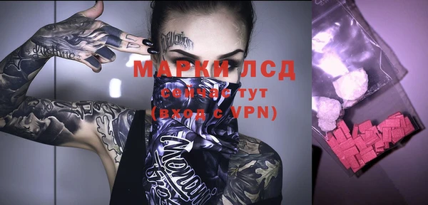 индика Михайловка