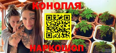 спайс Нальчик