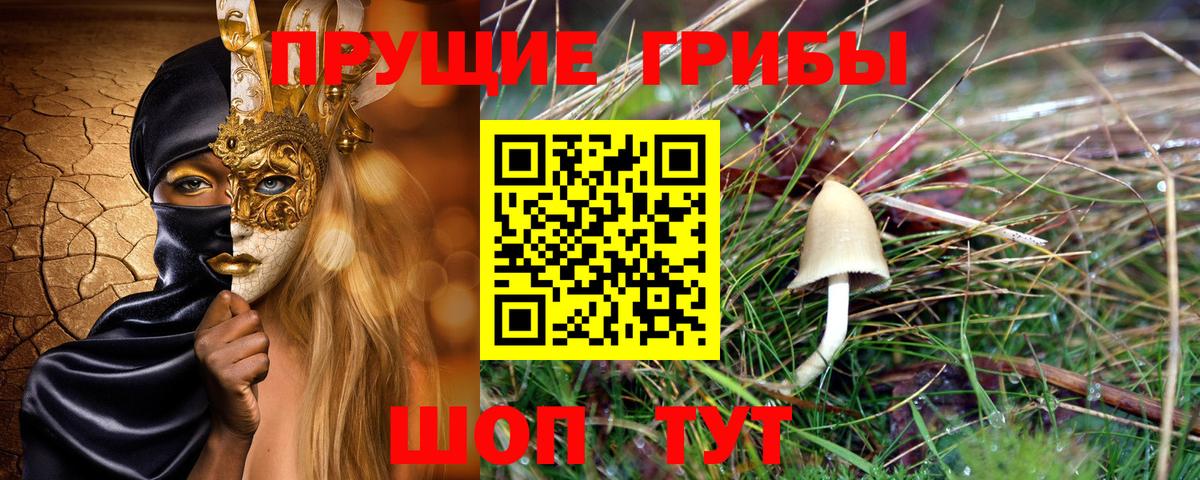 Галлюциногенные грибы Psilocybe  Галлюциногенные грибы Psilocybine cubensis  наркошоп  Вход с VPN  Липецк 