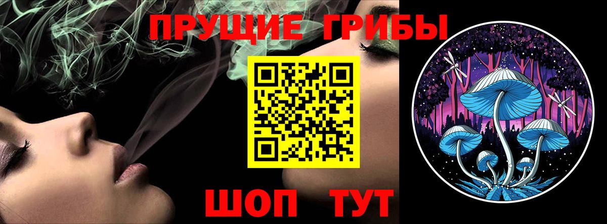 Псилоцибиновые грибы GOLDEN TEACHER  Липецк 